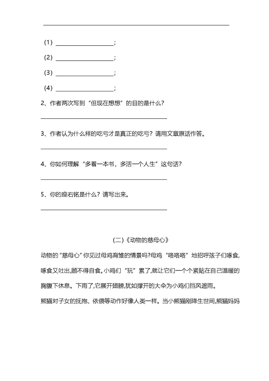 这套五年级上册的试卷是为学习小学语文课程的学生所使用