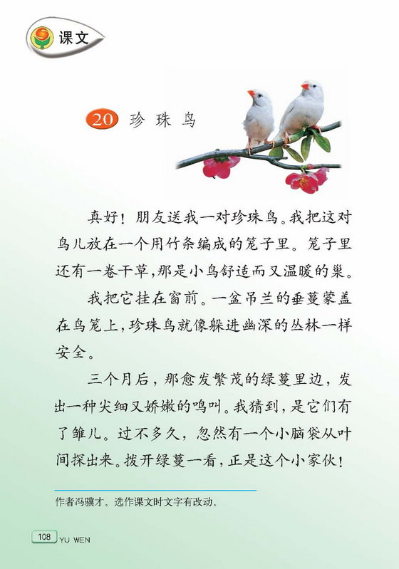 珍珠鸟课文原文图片图片