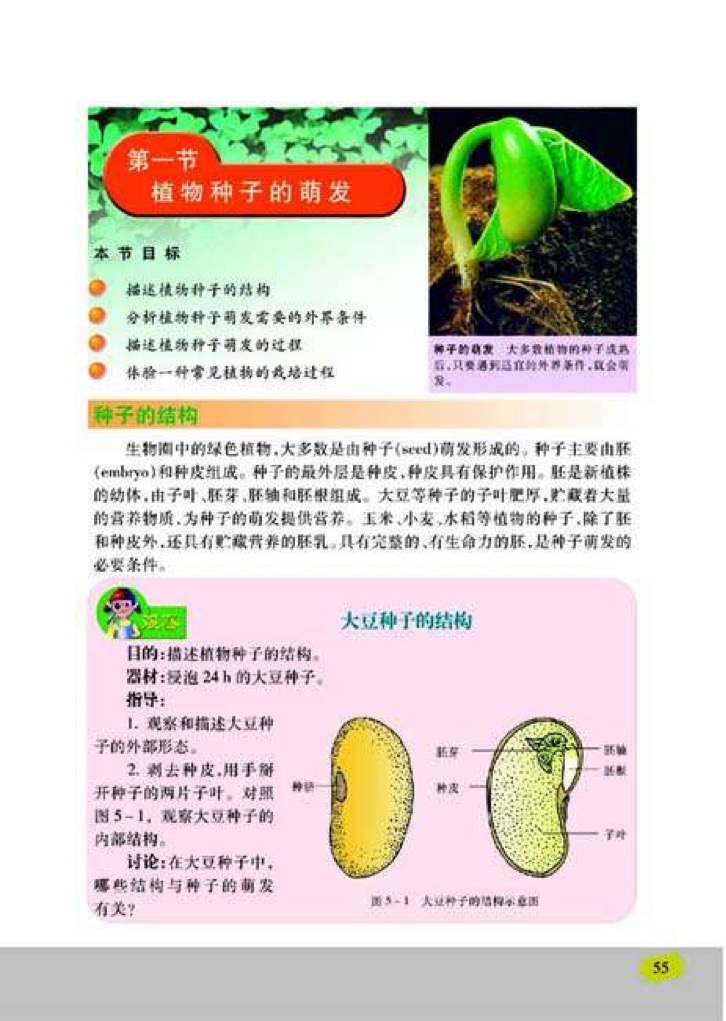 1,植物種子的萌發在線閱讀_蘇教版七年級上冊生物書_好學電子課本網