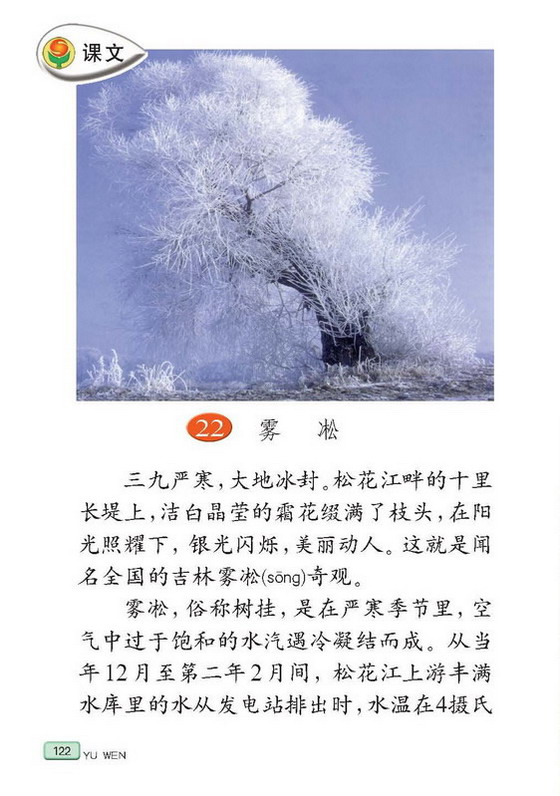 雾凇秒懂图片