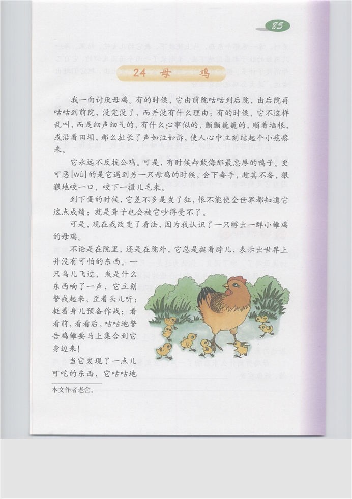 《母鸡》课文原文图片