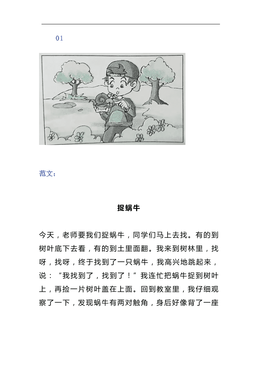 部編版二年級語文上冊看圖寫話範文精選40篇